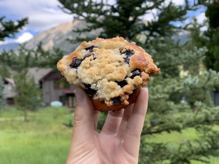 Blueberry Muffins with Crunchy Streusel